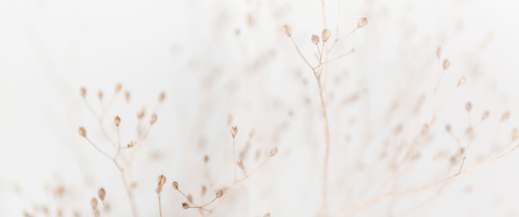 Regenerative Medicine