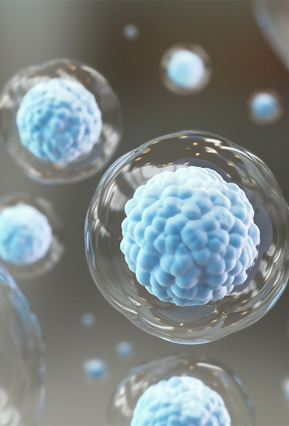 Stem cells image