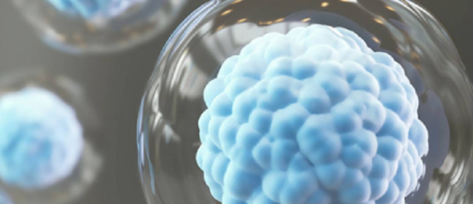 Treatment Category: <span>Regenerative Medicine</span>