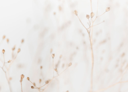 Regenerative Medicine