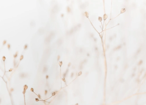 Regenerative Medicine