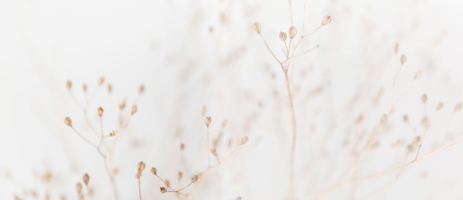 Regenerative Medicine