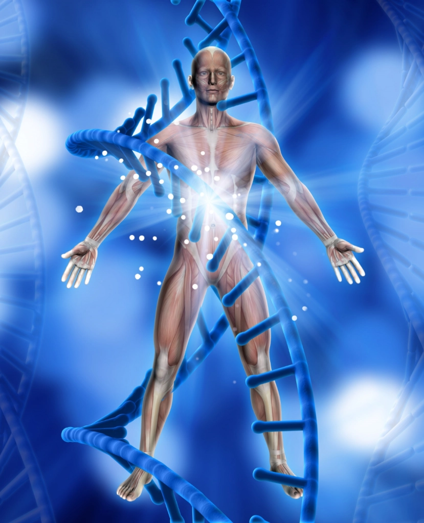 Amyotrophic Lateral Sclerosis (ALS)