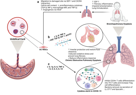 lung disease 2