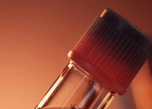 Platelet-Rich Fibrin