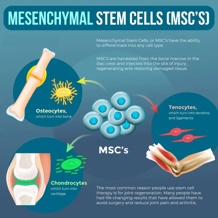Treatment disciplines image