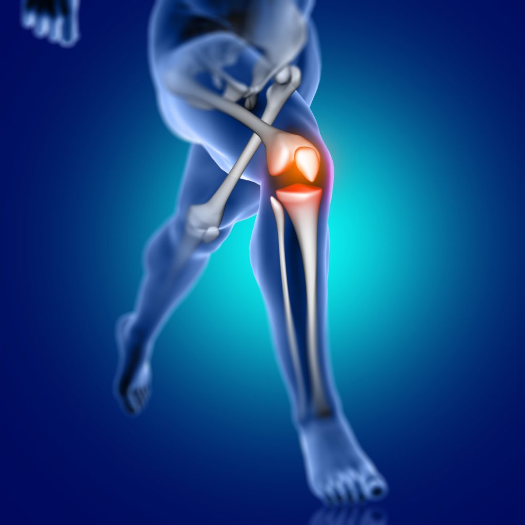 Stem Cells for Joint Repair