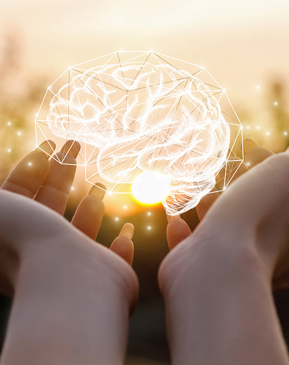 Pair of hands holding a bran hologram